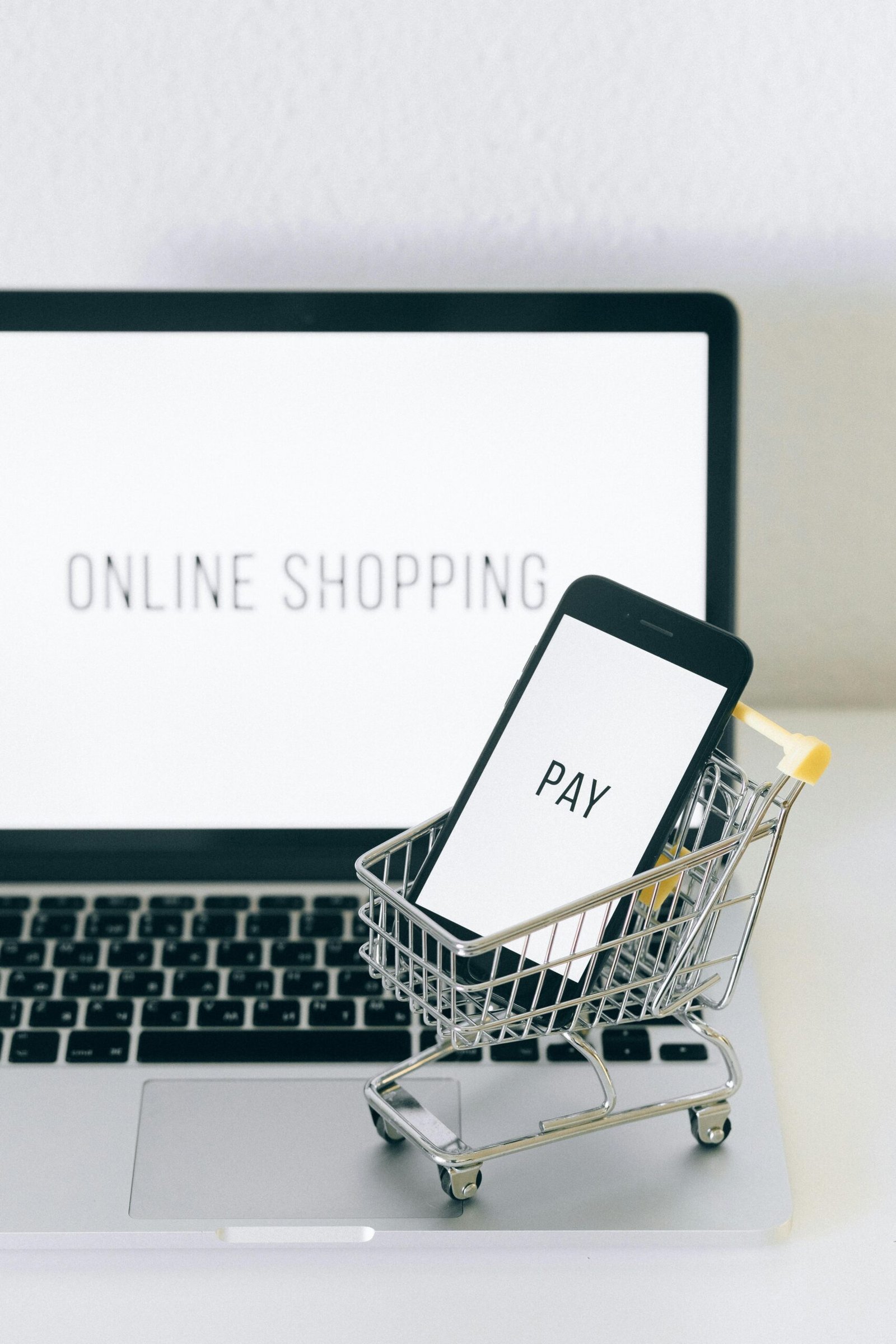 Izrada webshopa Rijeka – Media Mount web trgovina