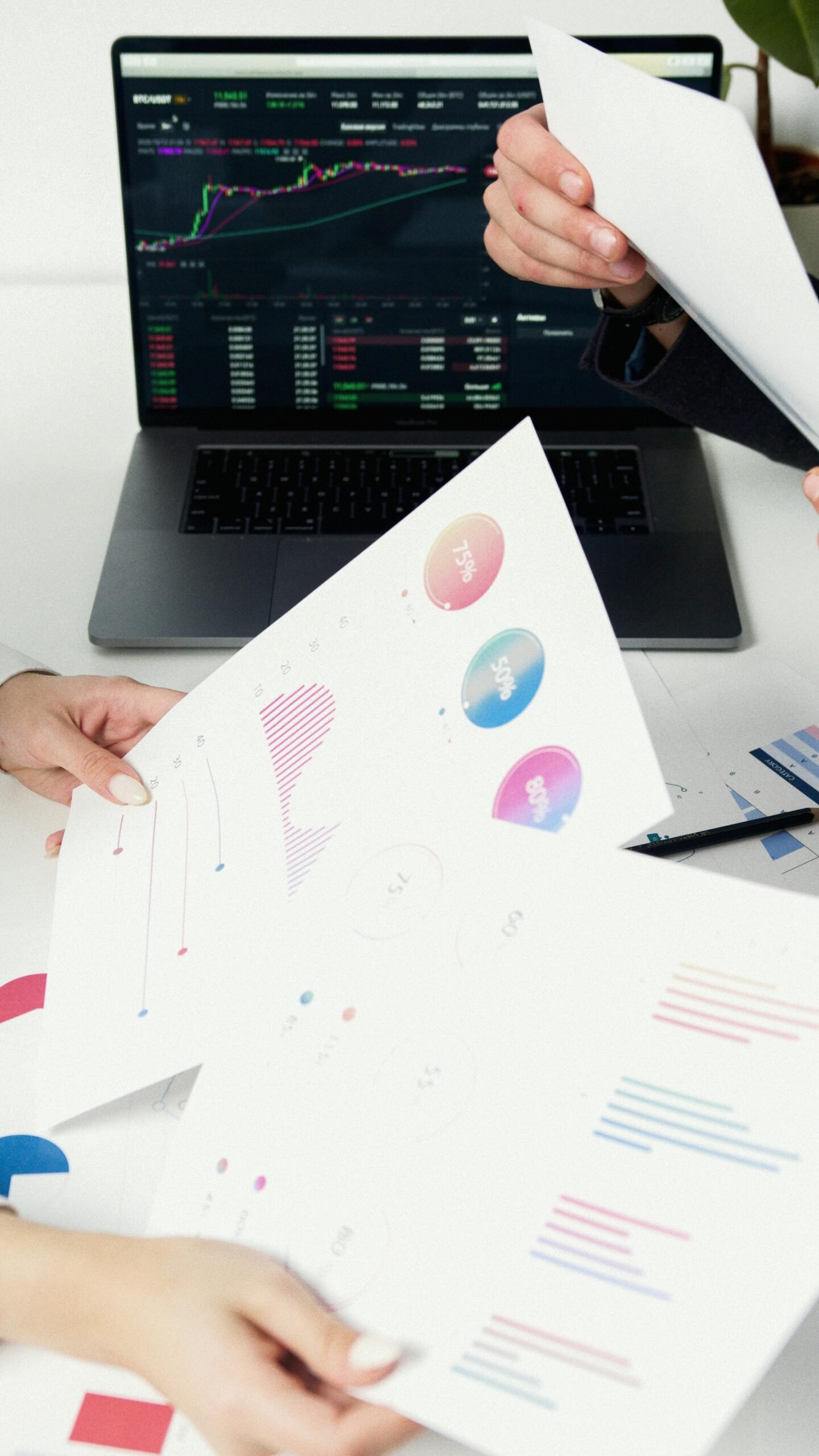 analitika i izvještaj Rijeka